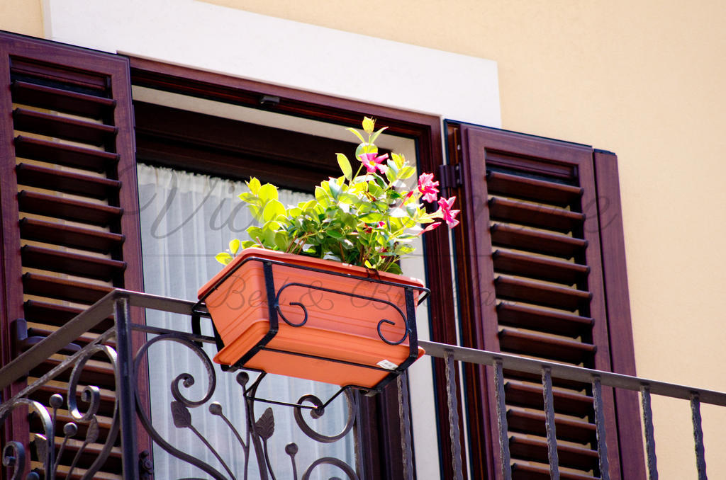 Viadelmare Rooms Monopoli Exterior foto